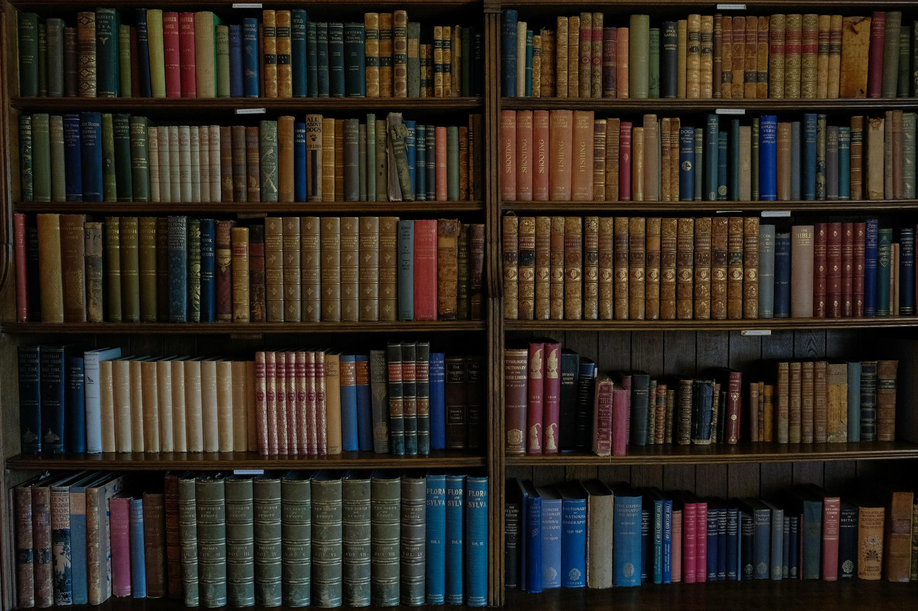 Would I Read the Same Book Twice?
